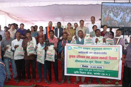 IMGDonec metus orci, malesuada et lectus vitae